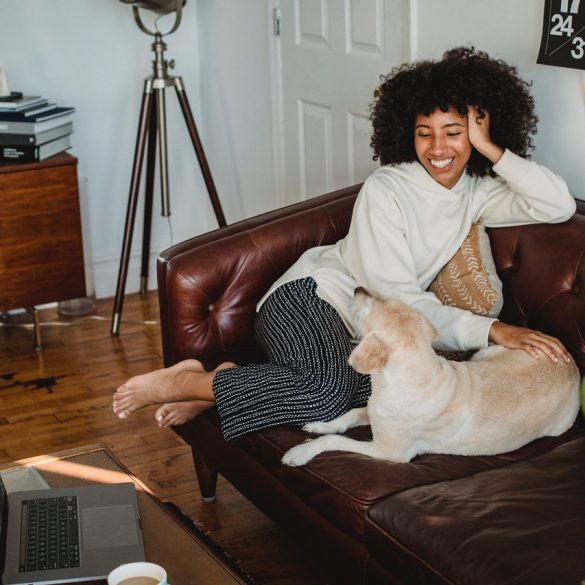 Weekend weg met de hond in de herfstvakantie Toffe plekken