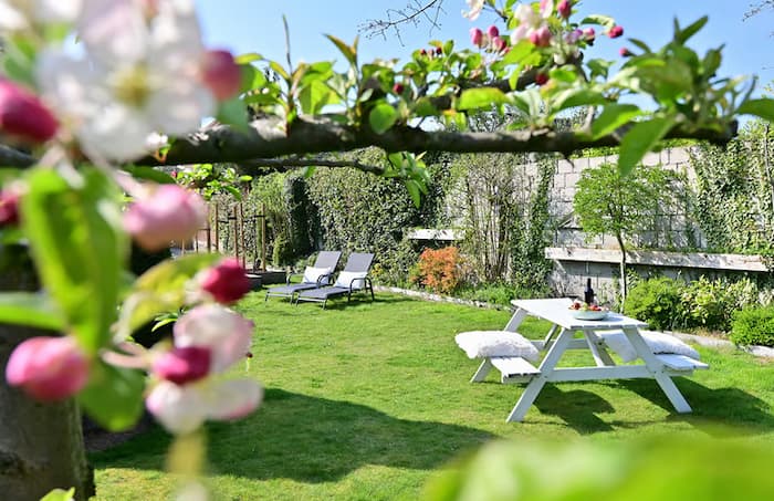 vakantie met de hond met omheinde tuin Valkenburg