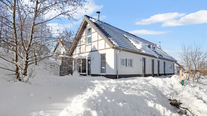 Landal Winterberg met de hond